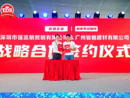 强流明入选行业百强！新的开始