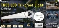 TR03 LED三防灯 120/170 lm/W
