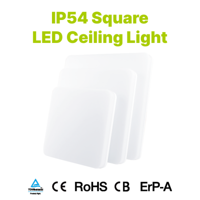 IP54方形吸顶灯 100 lm/W